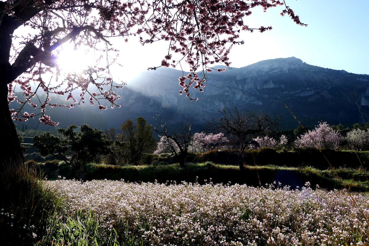 Podiumberg Hotel Quatretondeta ภายนอก รูปภาพ