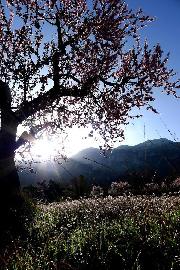 Podiumberg Hotel Quatretondeta ภายนอก รูปภาพ