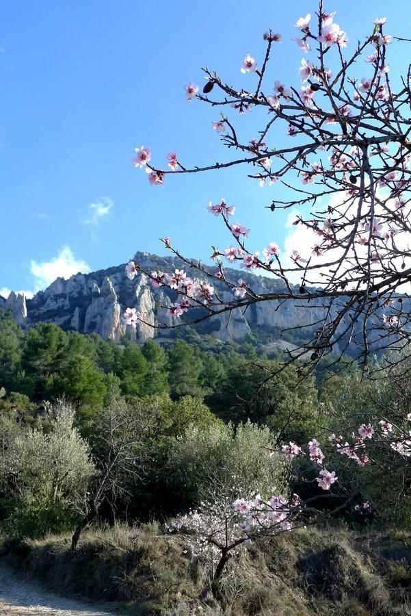 Podiumberg Hotel Quatretondeta ภายนอก รูปภาพ