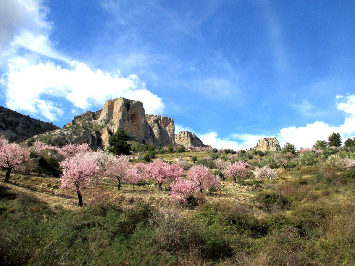 Podiumberg Hotel Quatretondeta ภายนอก รูปภาพ
